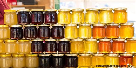 Mafic Honey around the World: Where to Buy International Favorites